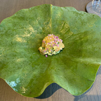 Auberge eaufeu - ◆hamo
                      鱧は焼き霜に。
                      ハーブのペースト 茗荷 梅とトマトのジュレ