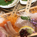 青森ねぶたワールド - 