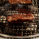 Hodori - ハラミ(神谷商店)