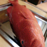 小料理きょうわ - こちらが実物のアカジン。翌日のお客様に提供するもの。