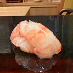 鮨 あらい - ボタンエビ