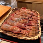 鮨 あらい - ボタンエビ