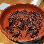 レストラン ナズ - 内田ザリガニ