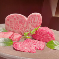 USHIGORO S. SHINJUKU - 