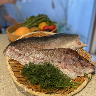 その日の新鮮な魚を皆様に。時には珍しい魚も！