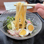 さぬき - ちらしうどんアップ