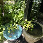 二ノ宮金次郎 - 店前になごみの金魚