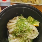 讃岐うどん 白庵 - 鶏天ぶっかけ＋茄子天