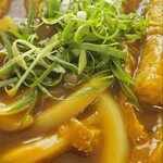 讃岐うどん 白庵 - カレーうどん。かなりボリュームがある！！