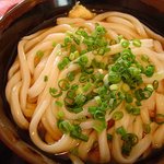 のぶや - ぶっかけうどん　アップ