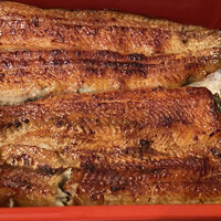 新宿 うなぎ菊川 - 