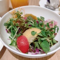 SCALAE - サラダ
