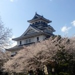 Menya Kotetsu - 太閤さん出世の足がかり､長浜城の桜は満開でした