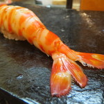 日本橋橘町　都寿司 - 車海老握り