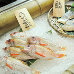 佳泉郷井づつや - 