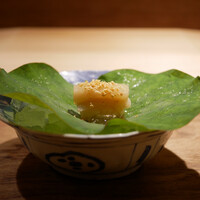 波濤 - ◆白芋茎