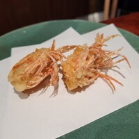 江戸前晋作 - エビの頭