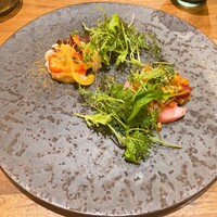 Selvaggio - 