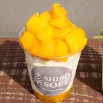 SHIRO SOFT - 