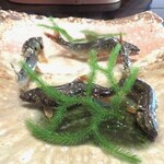 比良山荘 - 琵琶湖の鮎