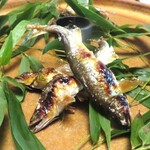 比良山荘 - 琵琶湖の鮎