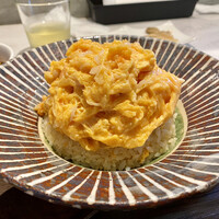 CINA New Modern Chinese - 