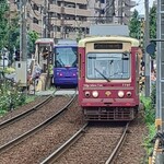 中華飯店 一番 - せっかくなので半世紀振りに都電に乗りました♪