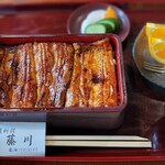 Unagi Fujikawa - 