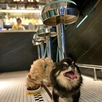 Nim's Pizza - 愛犬とのご利用大歓迎です。