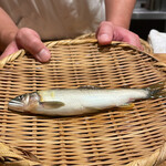 日本料理 太月 - 