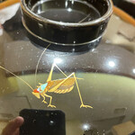 日本料理 太月 - 