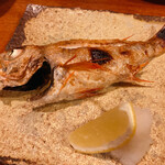 めしの助 - 赤ムツ（ノドグロ）