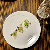 常春 - 