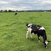渡辺体験牧場