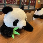 PANDA - 