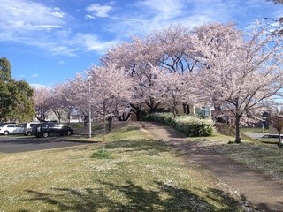 梨花苑 - 落合公園から