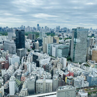 アーティスト カフェ - 