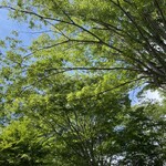 軽井沢マリオットホテル - あなた〜を待つの