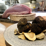 The INNOCENT CARVERY - 