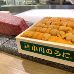 The INNOCENT CARVERY - 