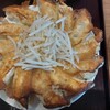 浜太郎餃子センター - 料理写真:白餃子。にんにくなくて子どもに大人気
