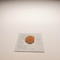 レスピラシオン - 