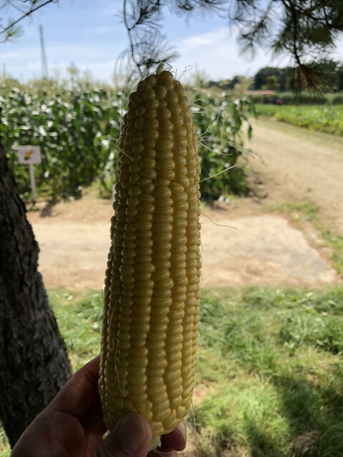 とかち大平原交流センター - 帯広（その他）の写真