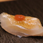 難波 鮨 よこ田 - 