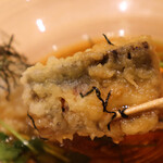 難波 鮨 よこ田 - 