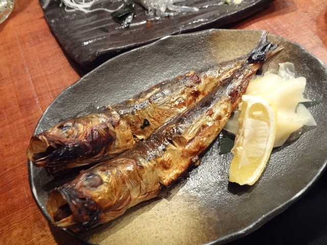 全身ヨロイの魚を捕獲して丸焼きにしてみた プレコ Youtube