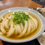 Junte Uchichi Sanuki Udon Gorou - 