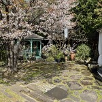 花の宴 - 中庭には春に桜が咲きます