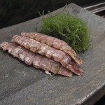 寿し屋の華八 - 肉厚のシャコ