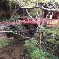うかい鳥山 - 